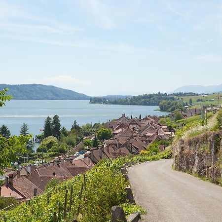 Alpes Et Lac لا نوفيل المظهر الخارجي الصورة