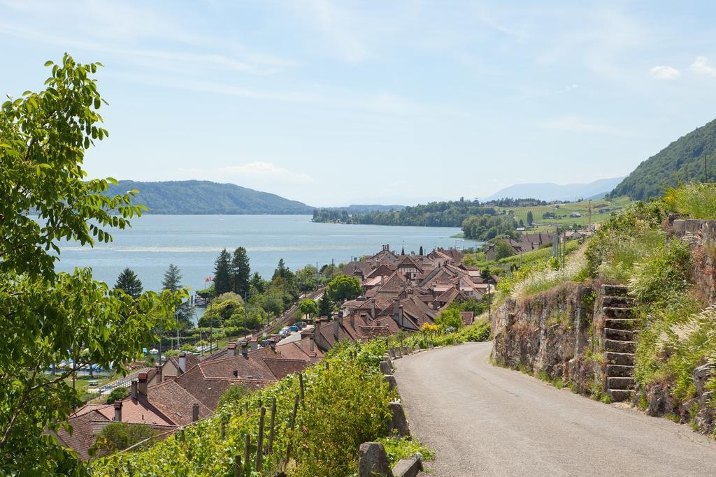 Alpes Et Lac لا نوفيل المظهر الخارجي الصورة